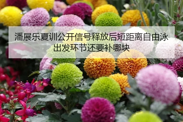 潘展乐夏训公开信号释放后短距离自由泳出发环节还要补哪块